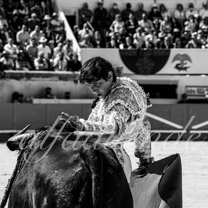 Nimes 20210919 matin alfaduende 004 fd