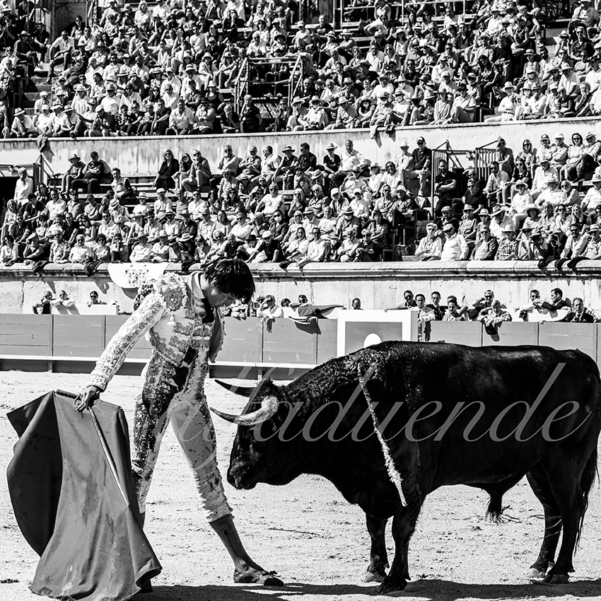 Nimes 20210919 matin alfaduende 005 fd