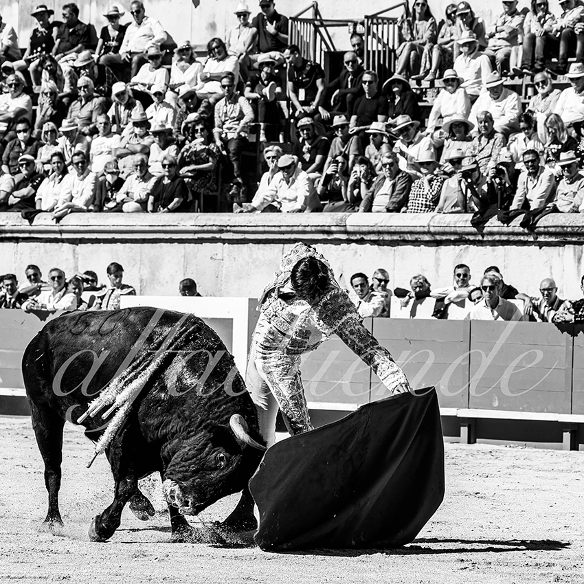 Nimes 20210919 matin alfaduende 006 fd