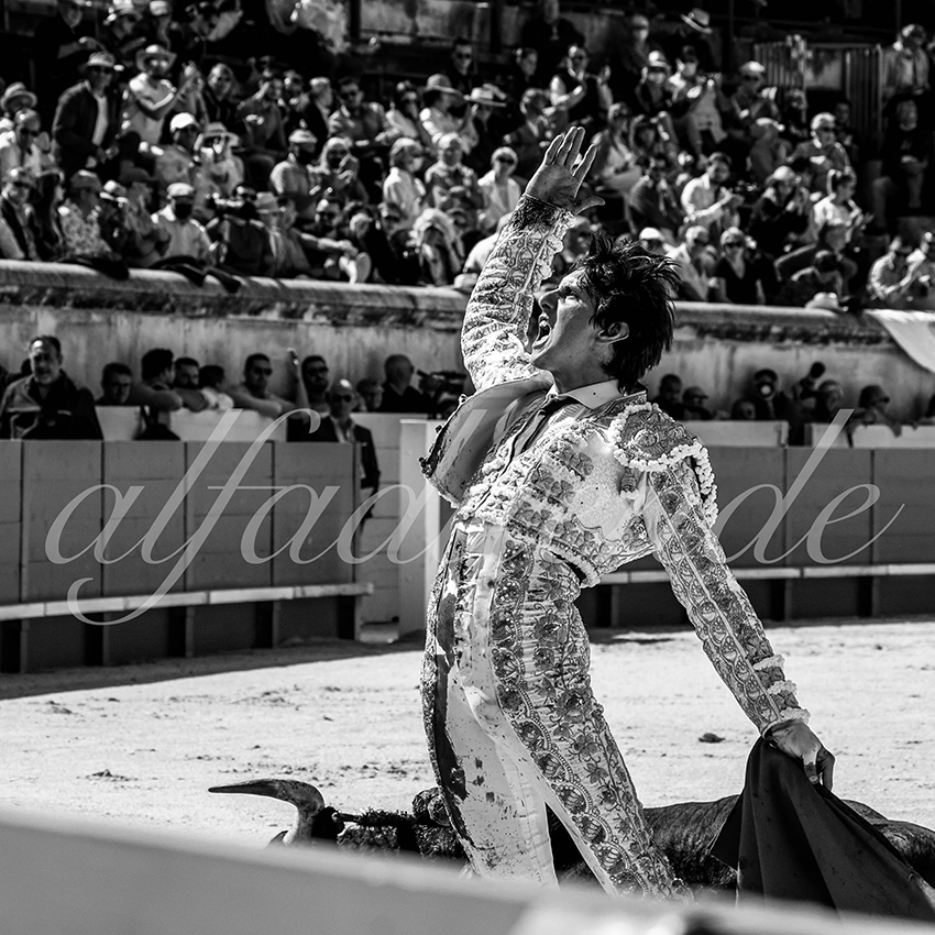 Nimes 20210919 matin alfaduende 009 fd