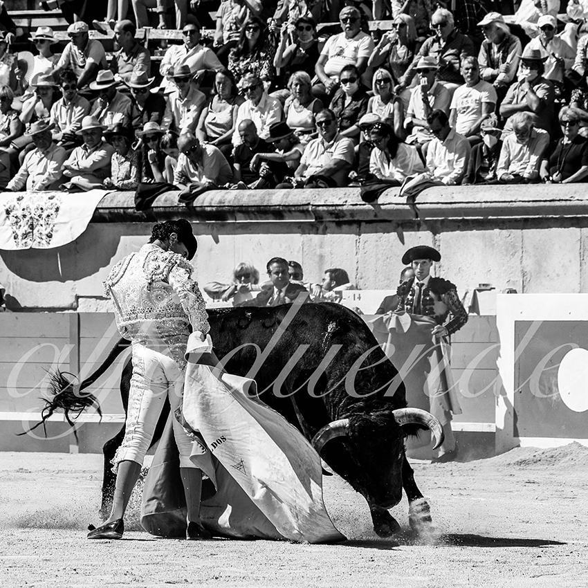 Nimes 20210919 matin alfaduende 010 fd