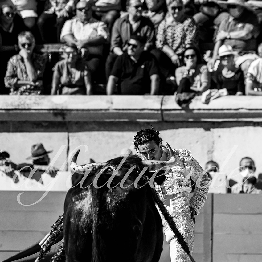 Nimes 20210919 matin alfaduende 012 fd