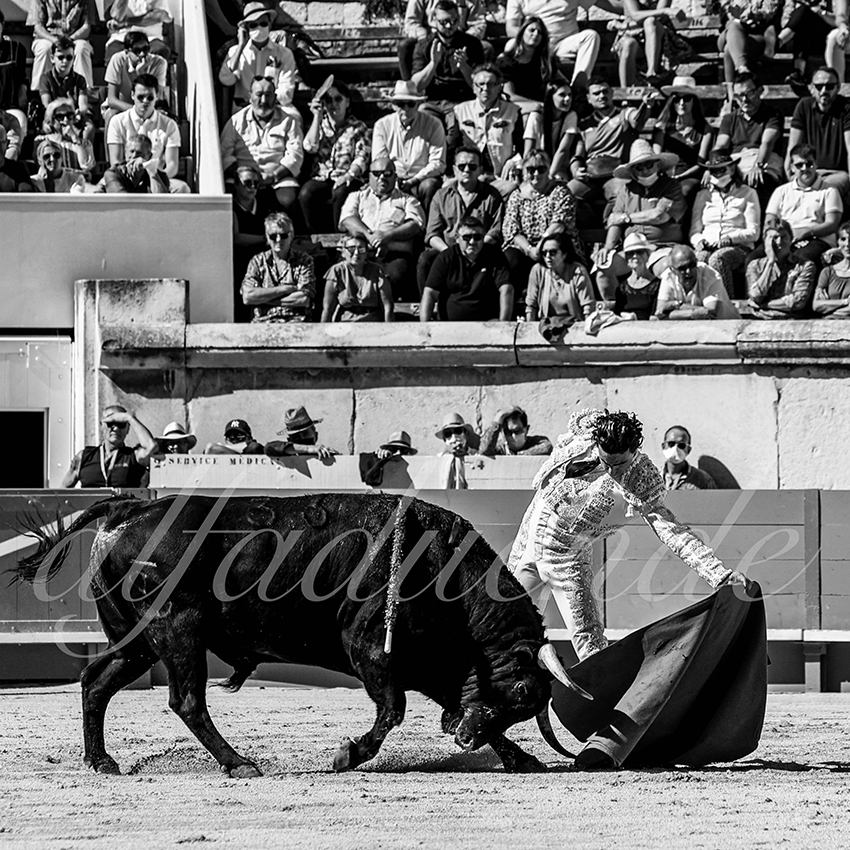 Nimes 20210919 matin alfaduende 013 fd