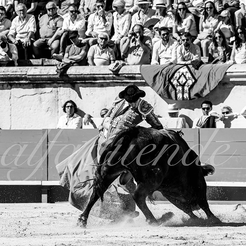 Nimes 20210919 matin alfaduende 015 fd