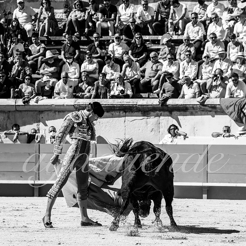 Nimes 20210919 matin alfaduende 016 fd