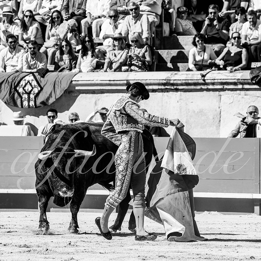 Nimes 20210919 matin alfaduende 017 fd