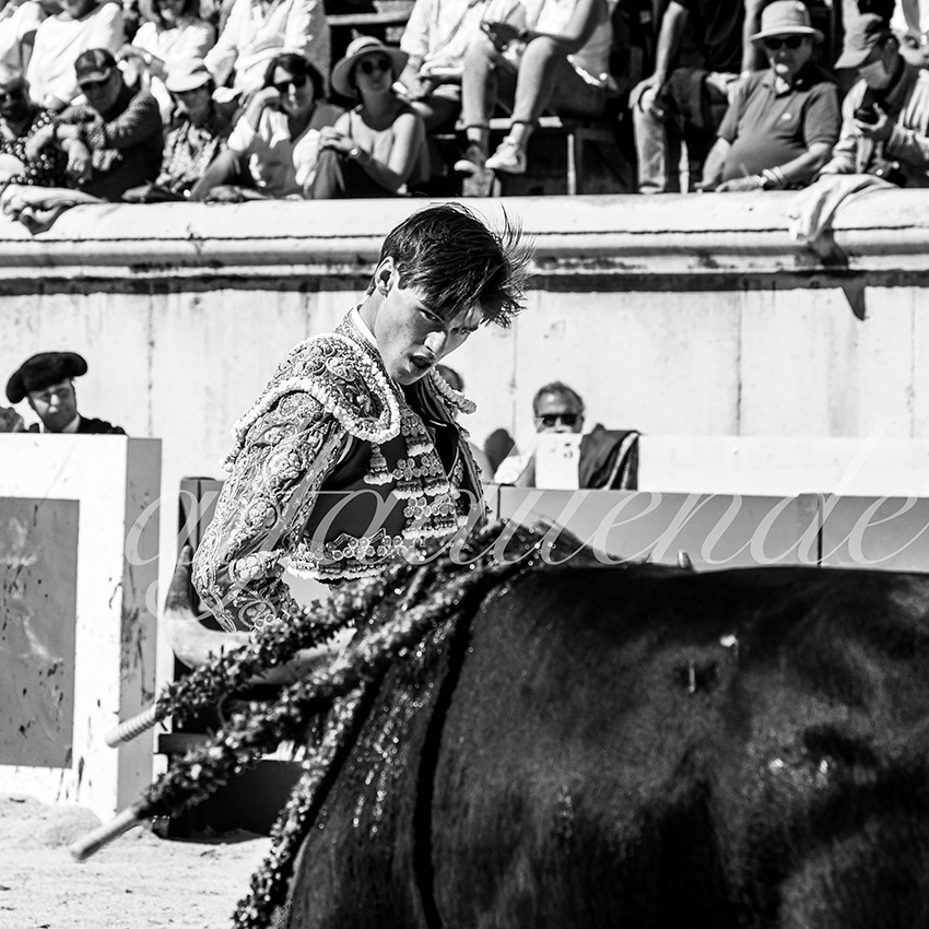 Nimes 20210919 matin alfaduende 020 fd