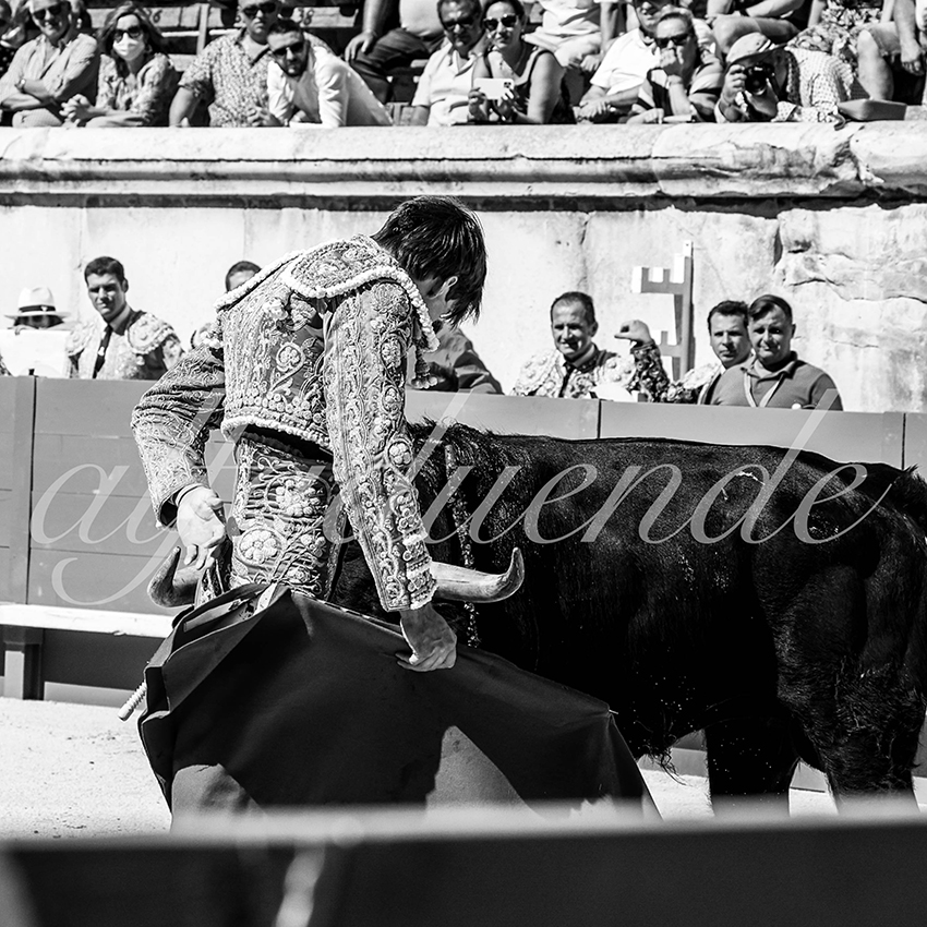 Nimes 20210919 matin alfaduende 021 fd