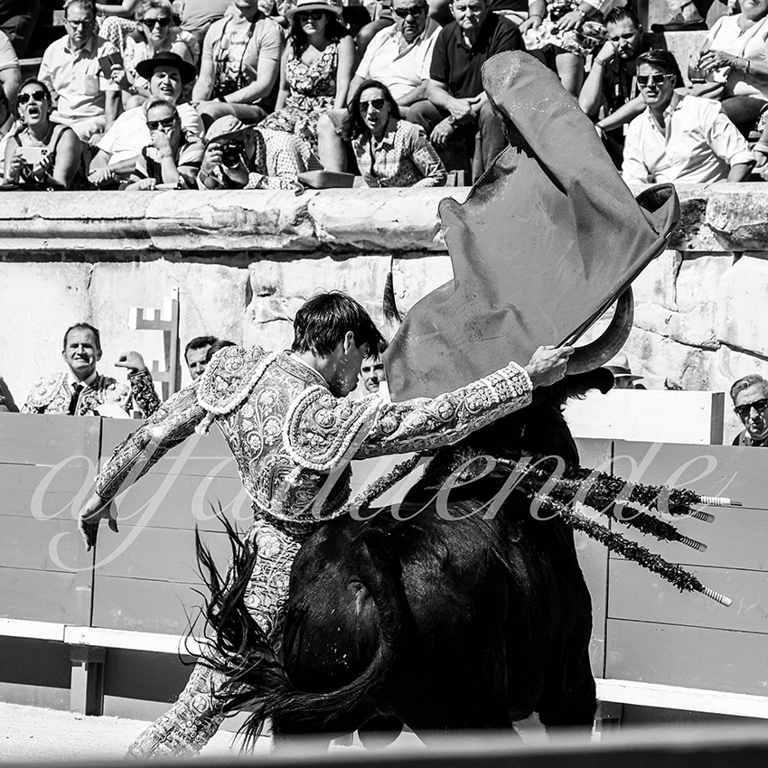 Nimes 20210919 matin alfaduende 022 fd