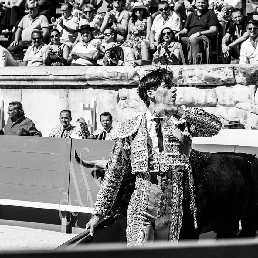 Nimes 20210919 matin alfaduende 023 fd