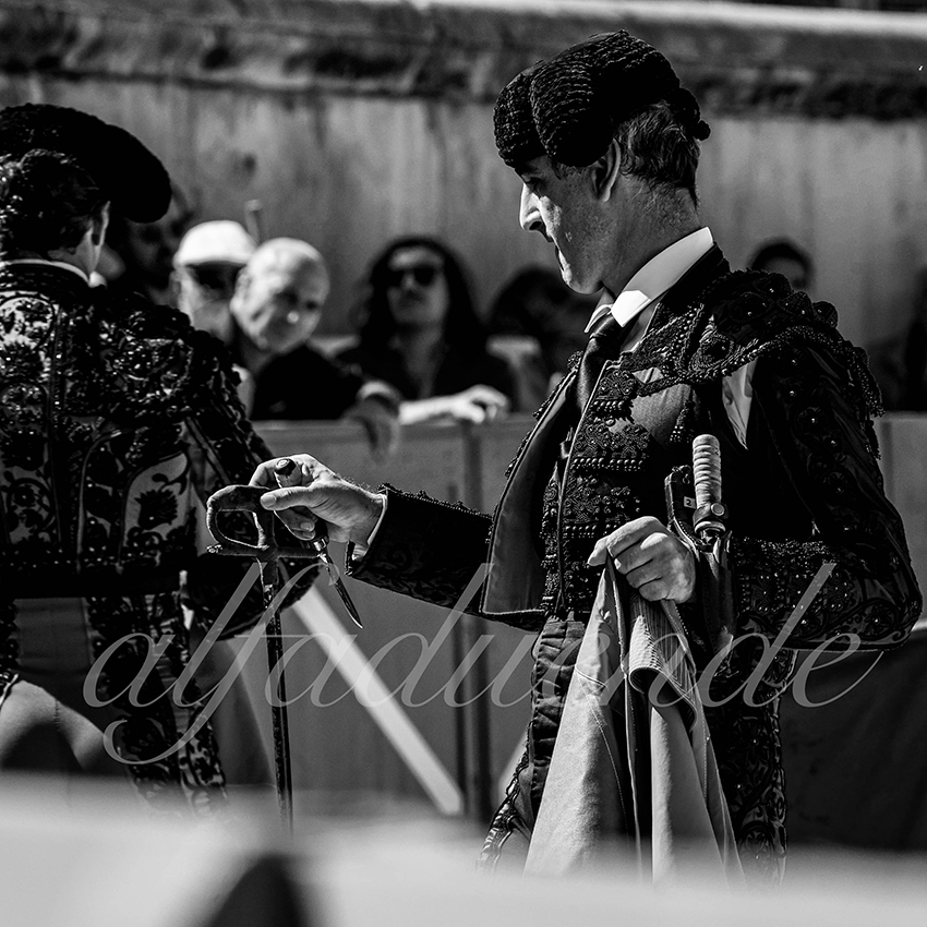 Nimes 20210919 matin alfaduende 024 fd