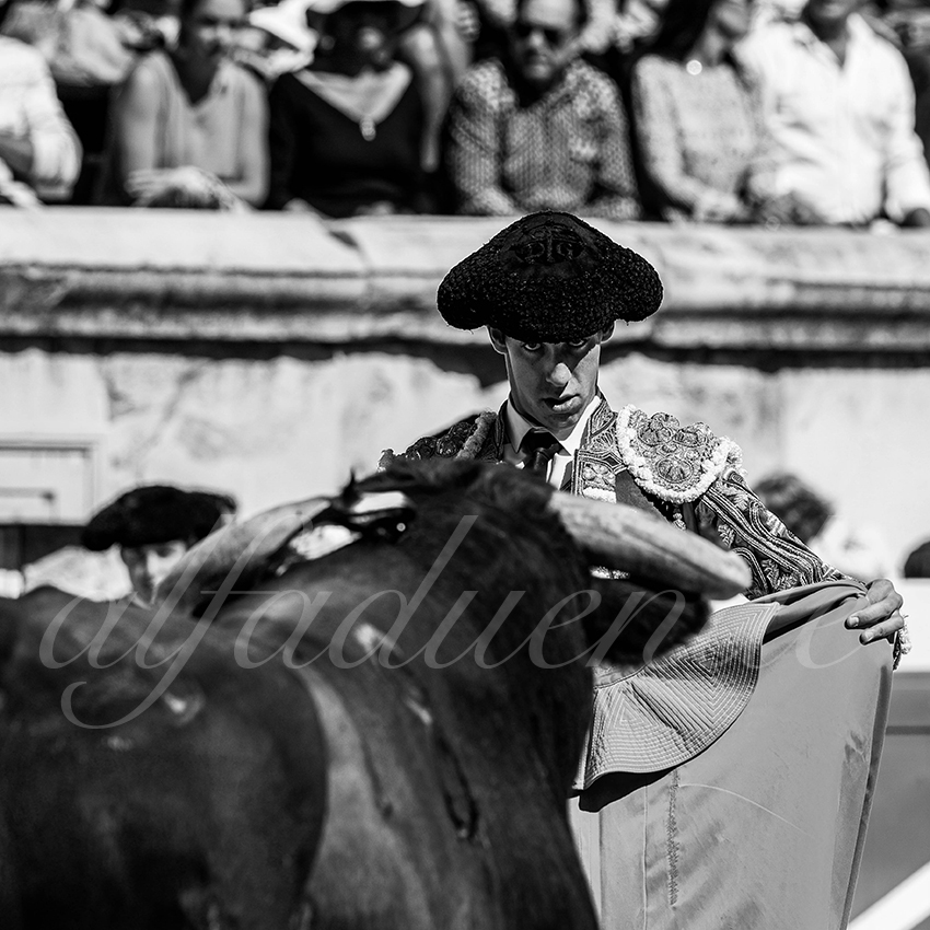 20220917 nov nimes 004