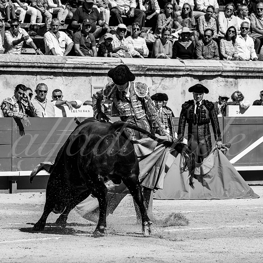 20220917 nov nimes 005