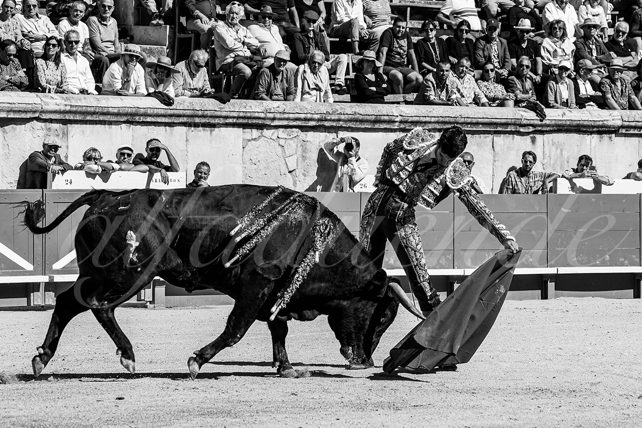 20220917 nov nimes 006