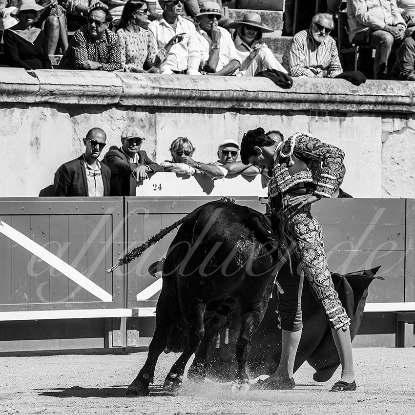 20220917 nov nimes 007