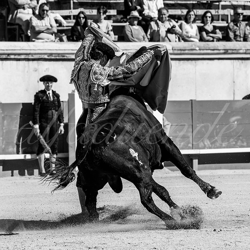 20220917 nov nimes 008