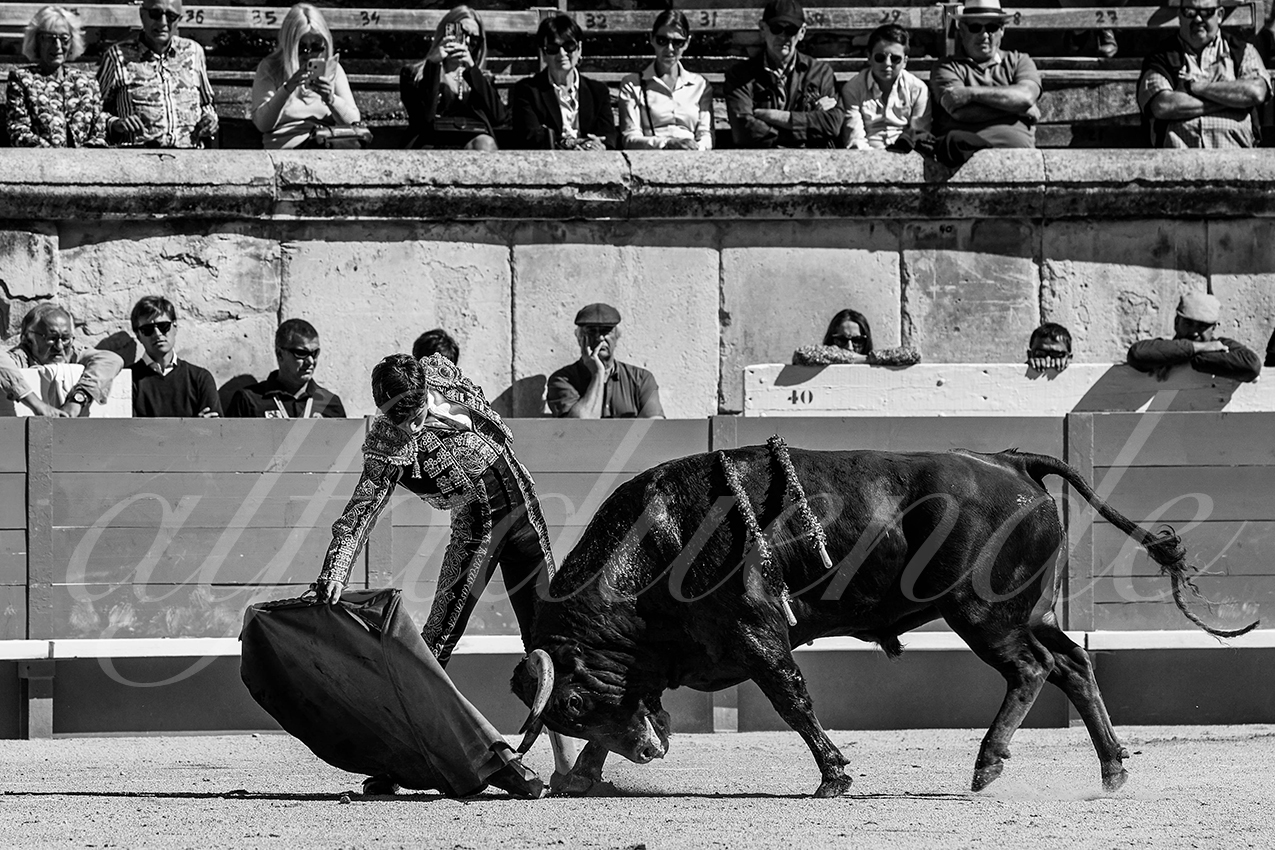 20220917 nov nimes 009