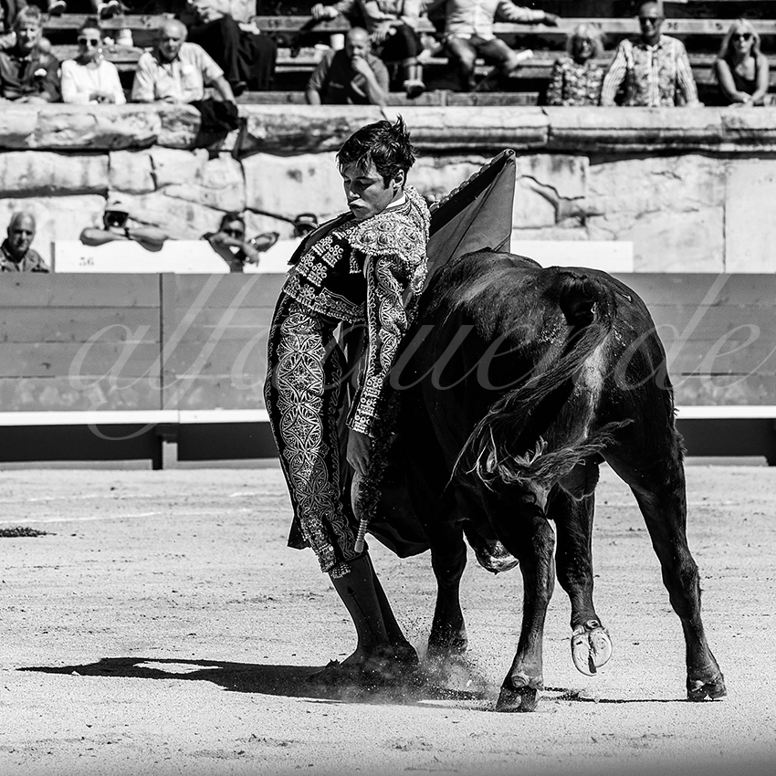 20220917 nov nimes 010