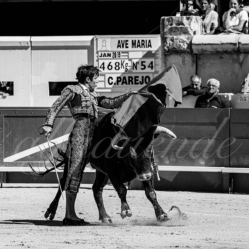 20220917 nov nimes 011