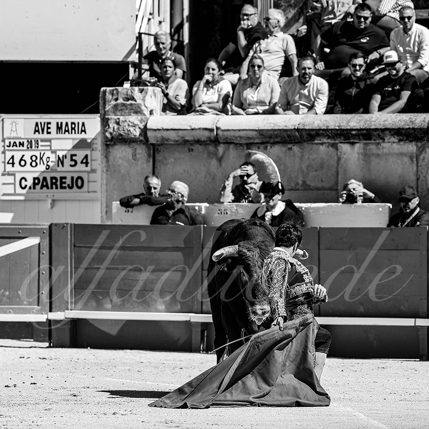 20220917 nov nimes 012