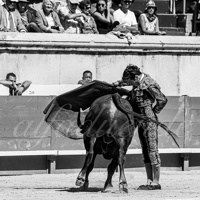 20220917 nov nimes 013