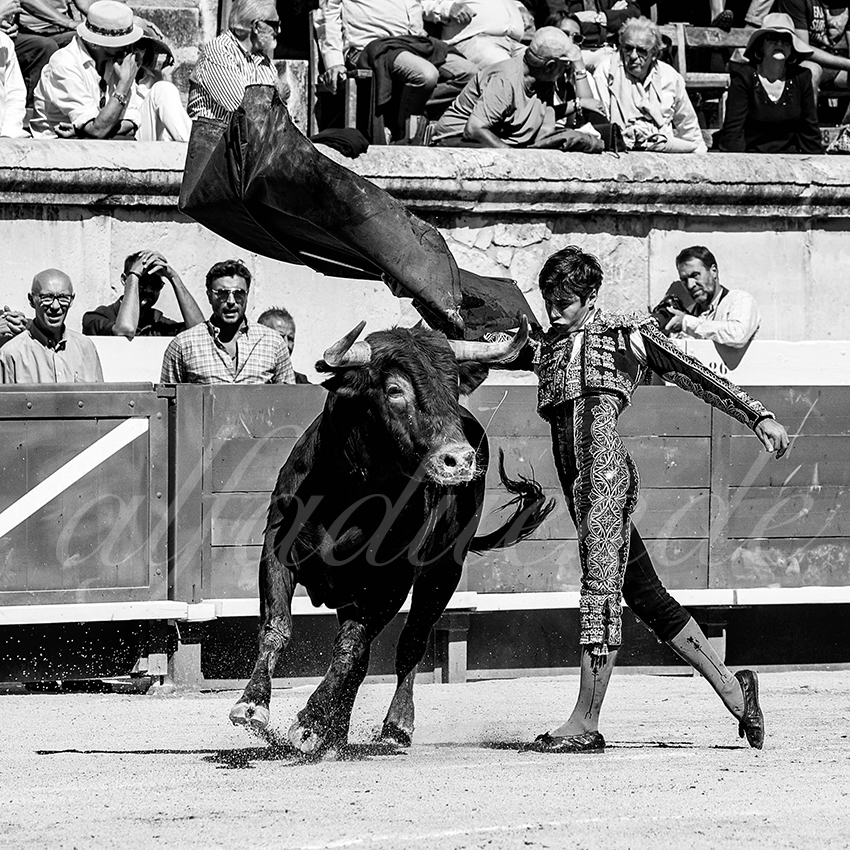 20220917 nov nimes 014