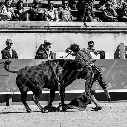 20220917 nov nimes 015