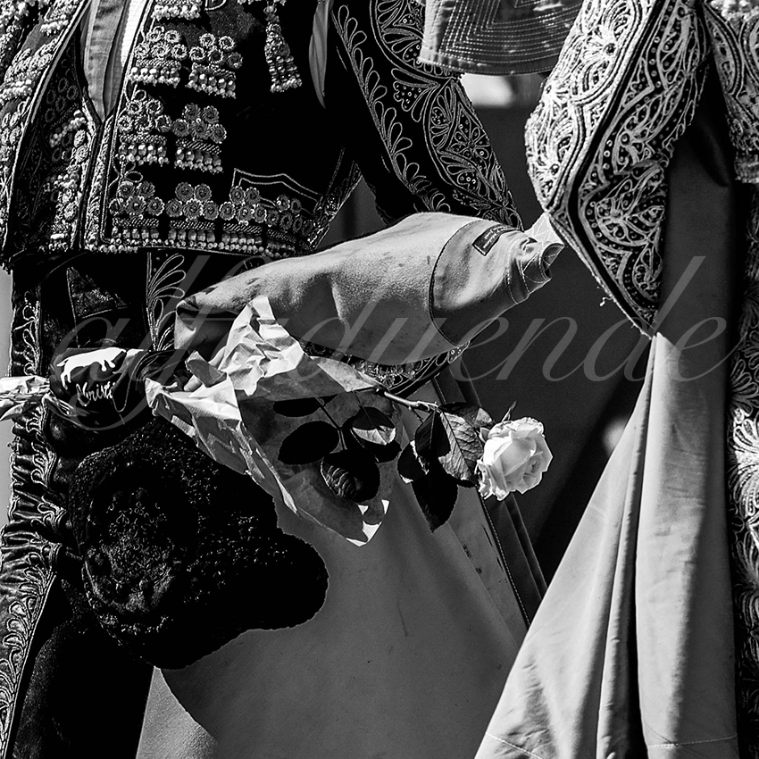 20220917 nov nimes 016