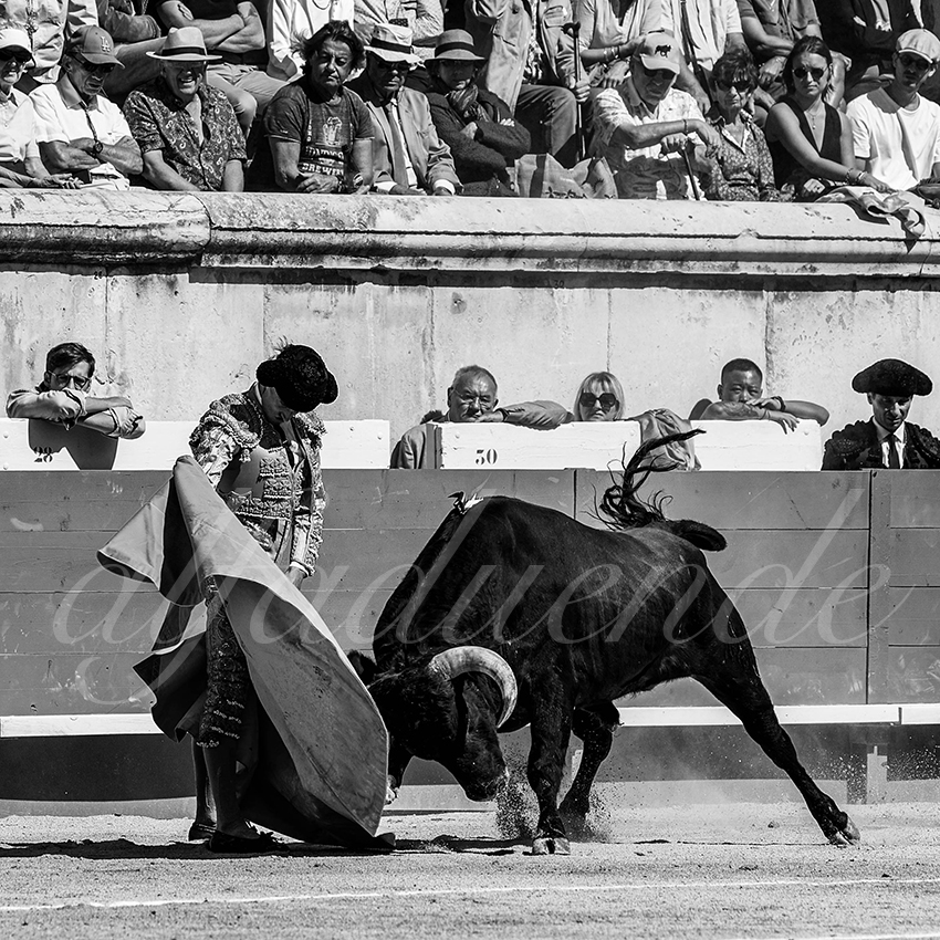 20220917 nov nimes 017