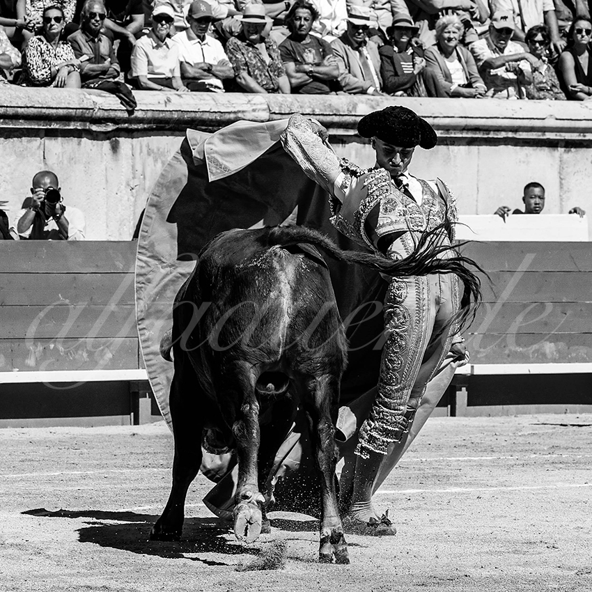 20220917 nov nimes 018