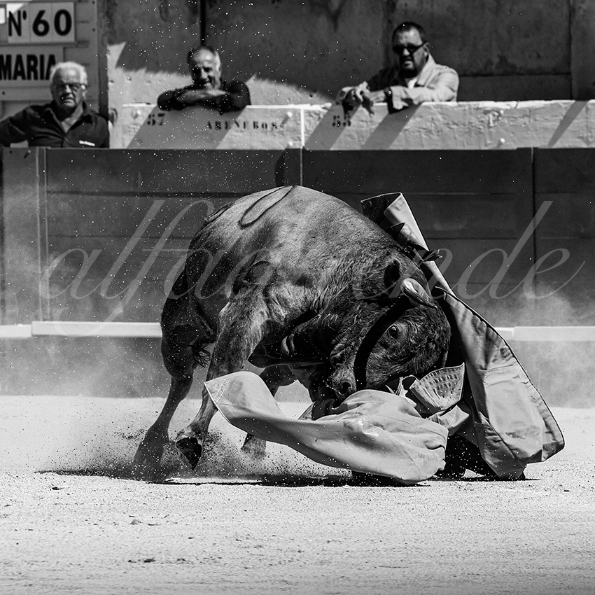 20220917 nov nimes 019