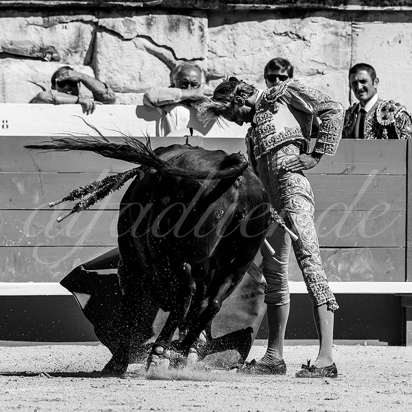 20220917 nov nimes 021