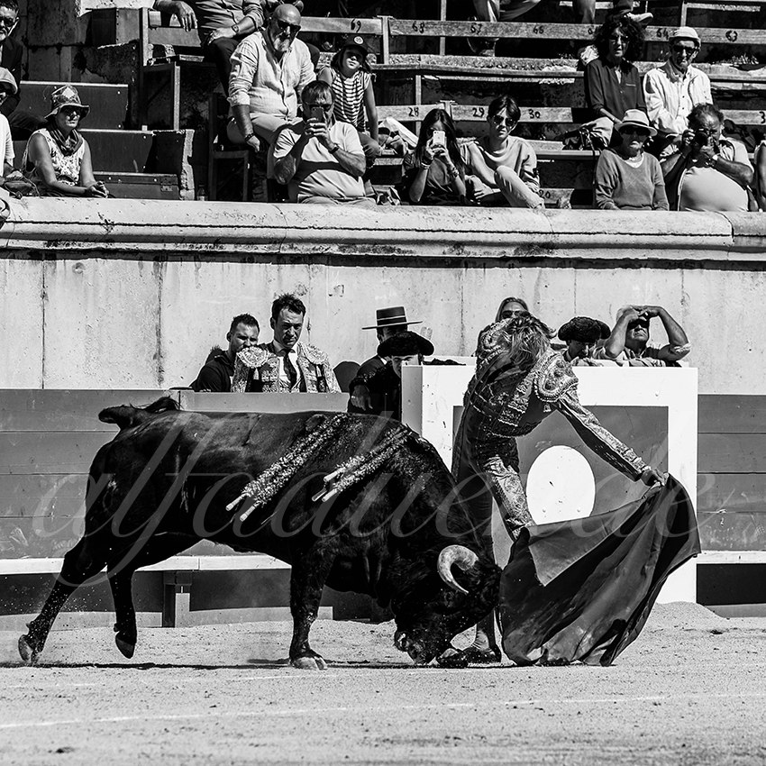 20220917 nov nimes 022