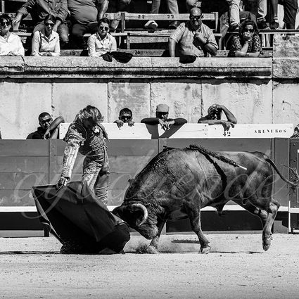 20220917 nov nimes 023