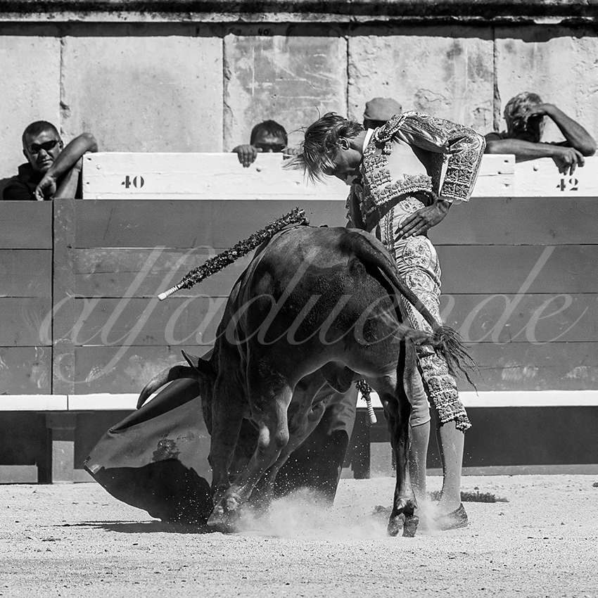 20220917 nov nimes 024