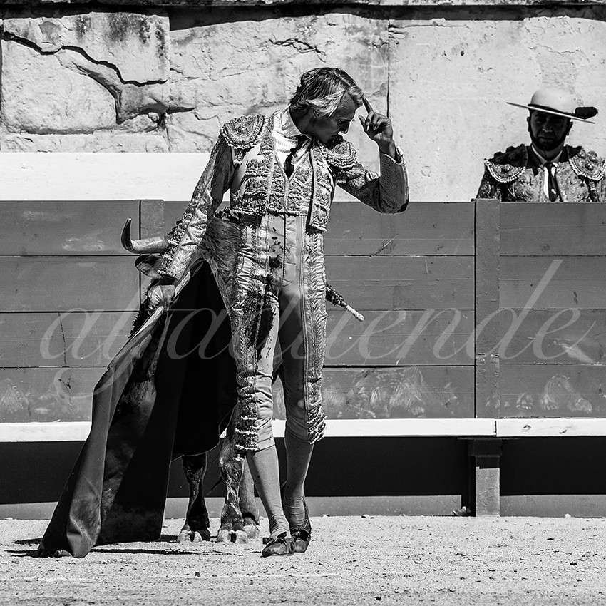 20220917 nov nimes 025