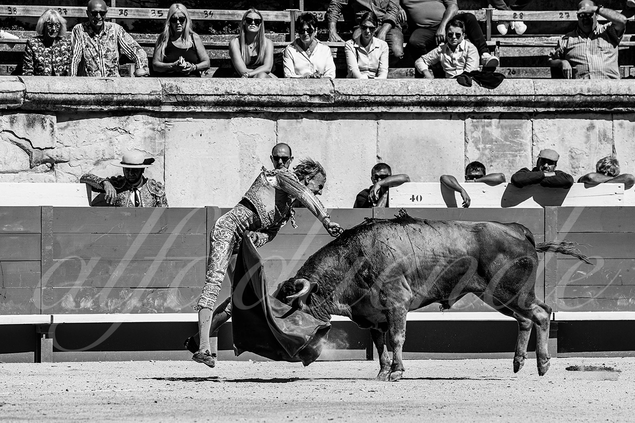 20220917 nov nimes 026