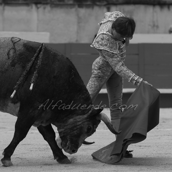 Nimes 201800518 9 