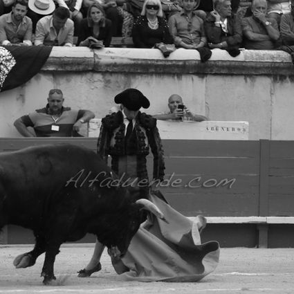 Nimes 201800519 6 