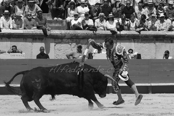 Nimes 201800520 10 