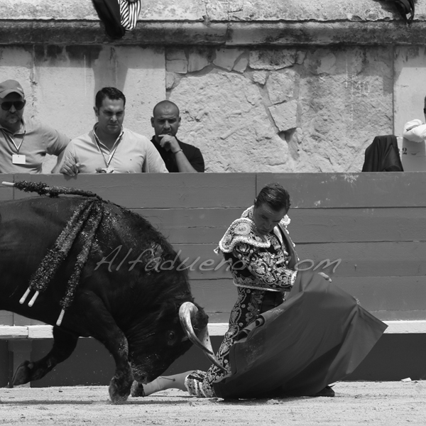 Nimes 201800520 12 