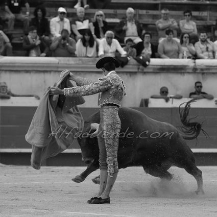 Nimes 20180521 9 