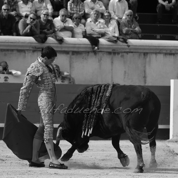 Nimes 20180521 15 