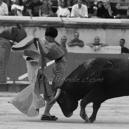 Nimes 20180914 9 