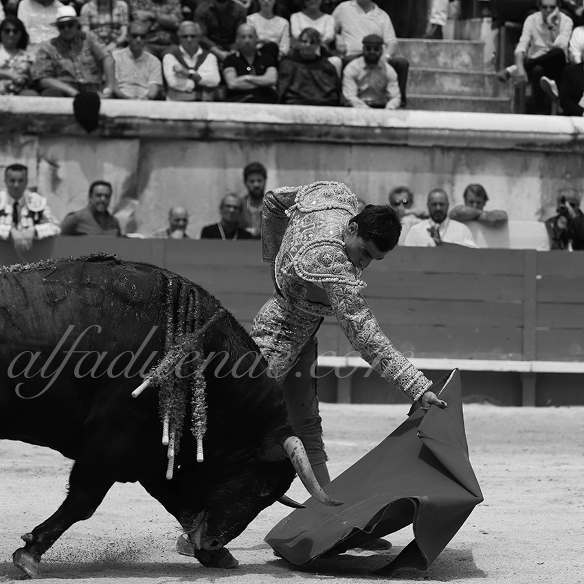 Img 9235 nimes06092019matin 07