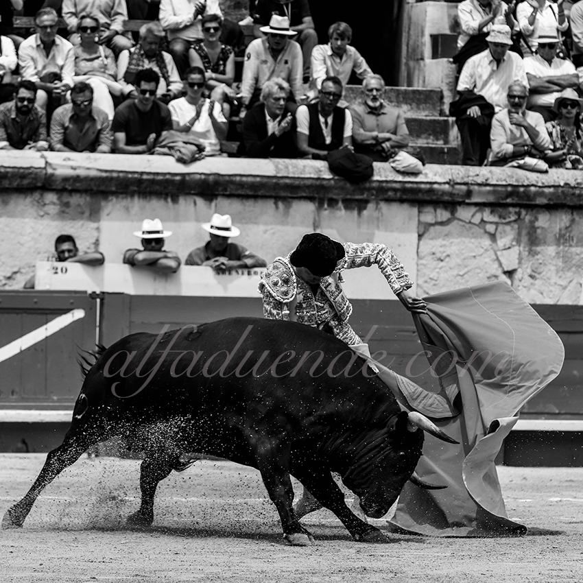 Img 9614 nimes06092019matin 10