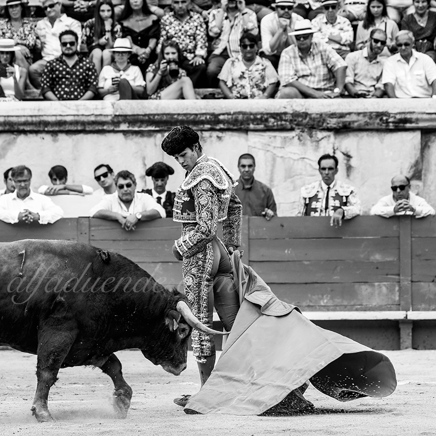 09142019002 alfaduende p58a5281 nimes copie