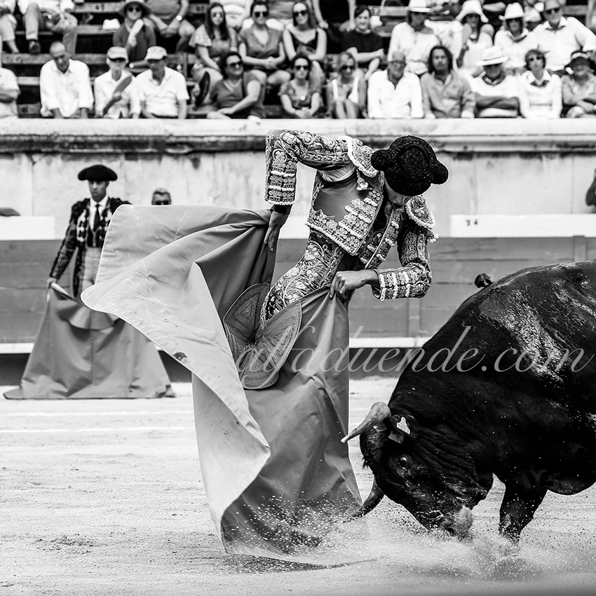 09142019003 alfaduende p58a5783 nimes copie