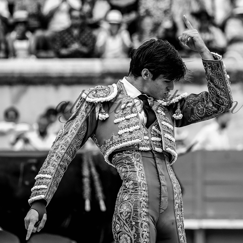 09142019004 alfaduende p58a4578 nimes copie