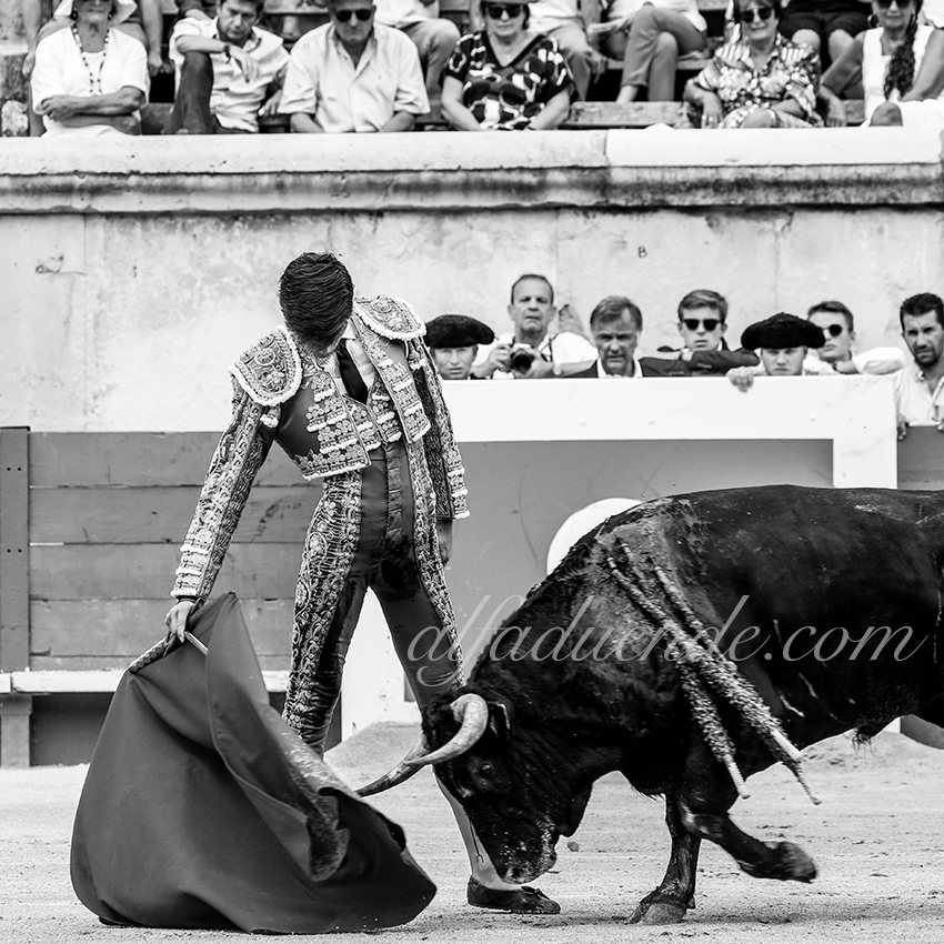 09142019005 alfaduende p58a4655 nimes copie